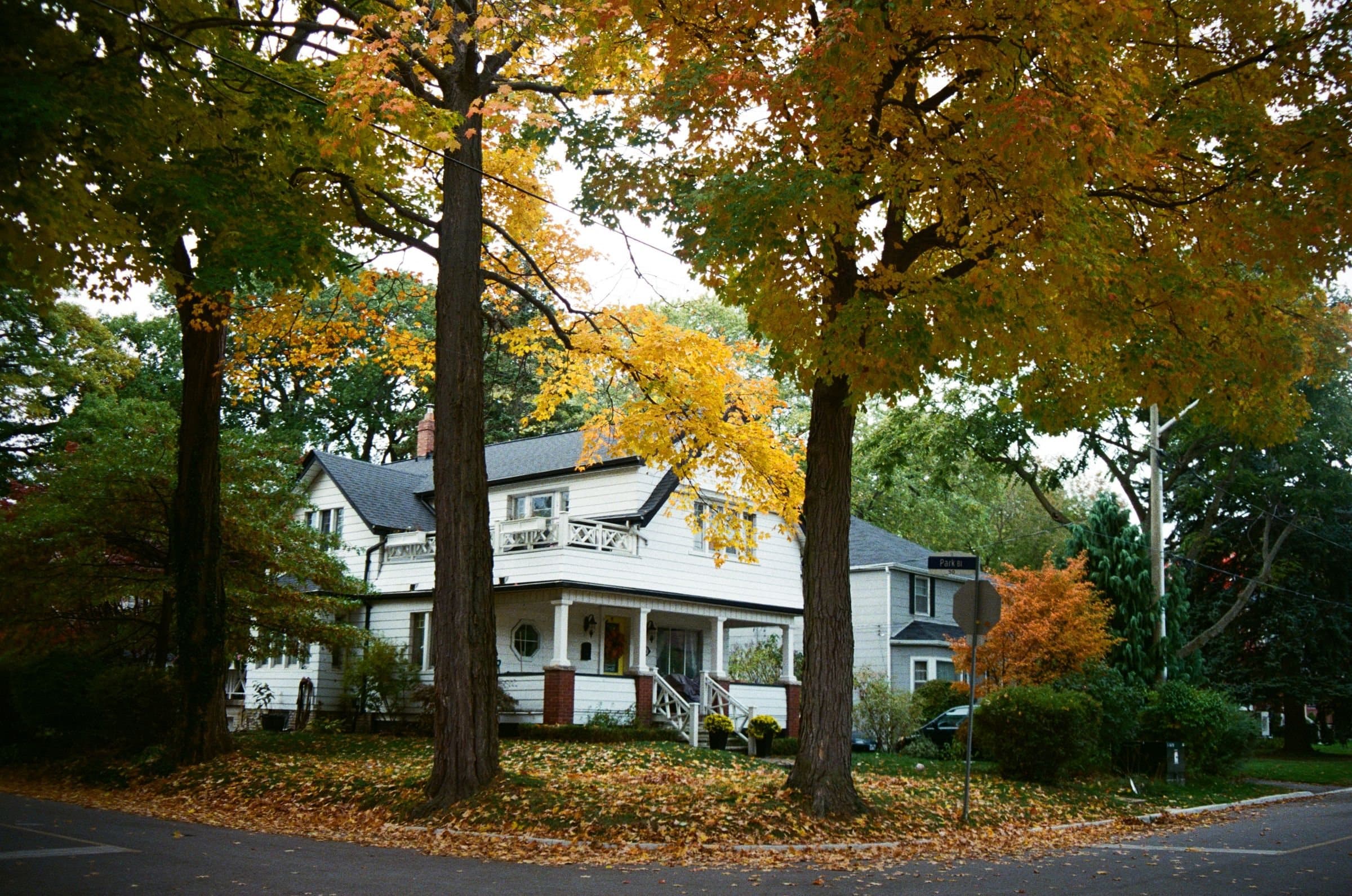 Westport, CT: a white house under tall autumn trees on a leafy street