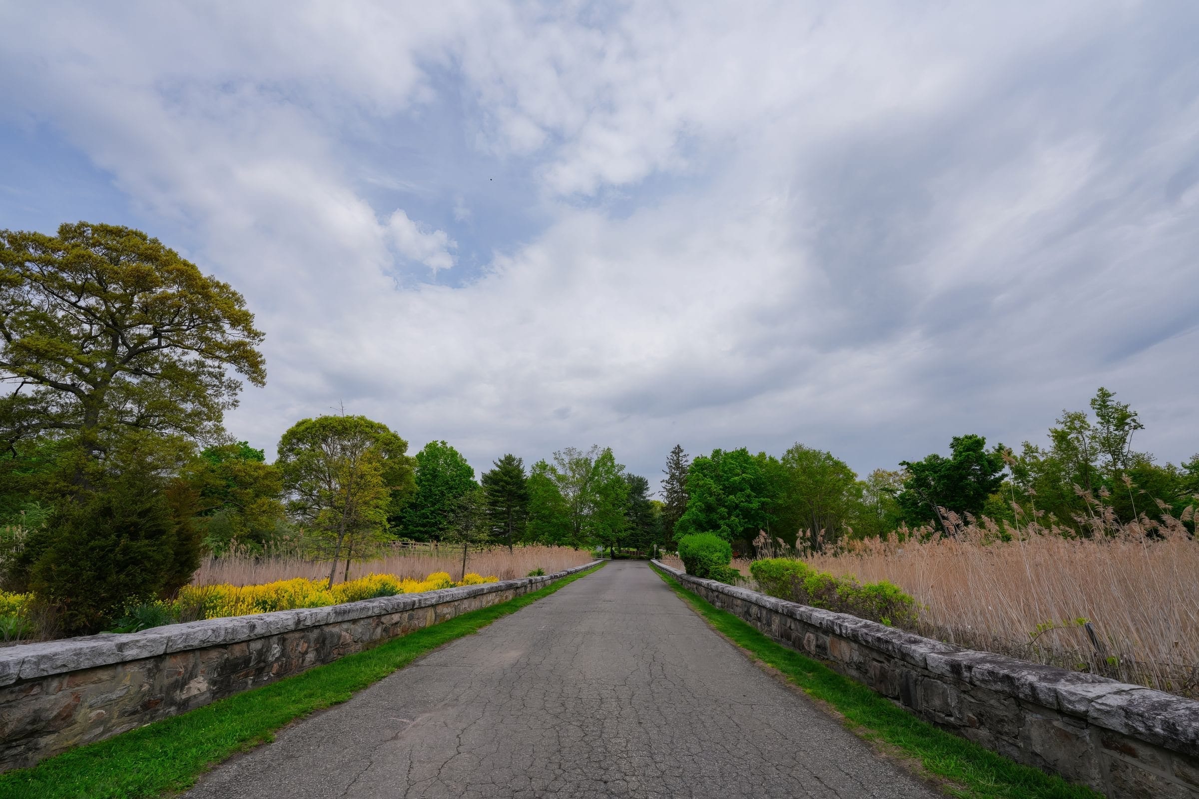 Wilton, CT: a quiet road lined with a fieldstone wall and trees